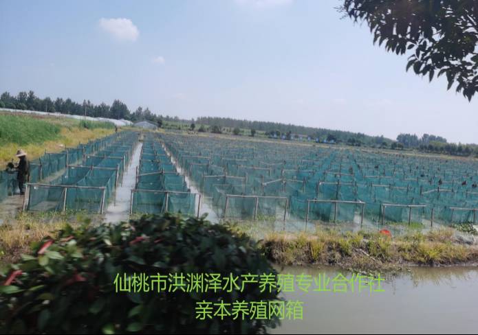 4008�ƶ����š�(�й���)�ٷ���վ